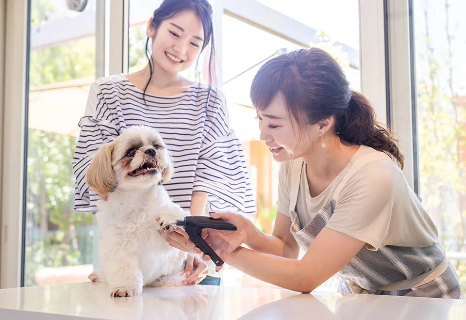 質の高い情報提供を目指す